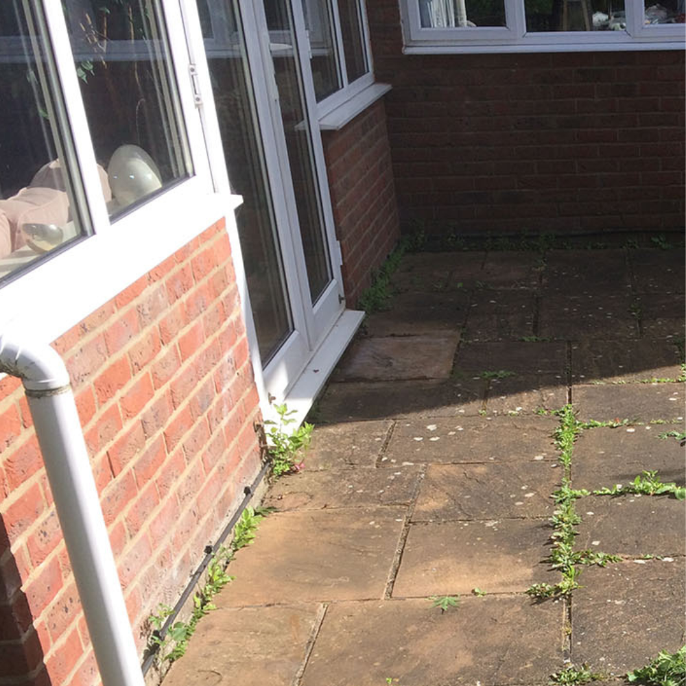 Mossy patio before cleaning