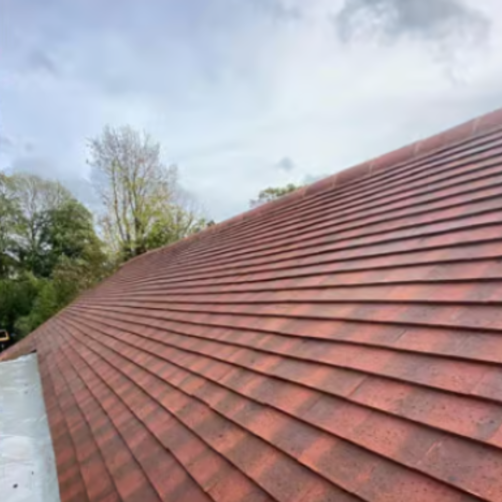Clean roof after moss removal